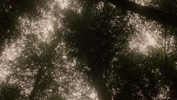 extant_GameOfThrones_1x06-AGoldenCrown_3078