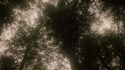 extant_GameOfThrones_1x06-AGoldenCrown_3079