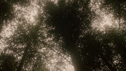 extant_GameOfThrones_1x06-AGoldenCrown_3080