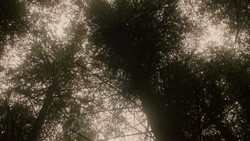 extant_GameOfThrones_1x06-AGoldenCrown_3081