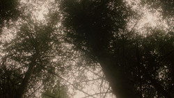 extant_GameOfThrones_1x06-AGoldenCrown_3082