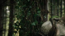extant_GameOfThrones_1x06-AGoldenCrown_3215