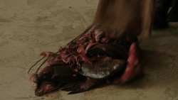 extant_GameOfThrones_1x06-AGoldenCrown_3300