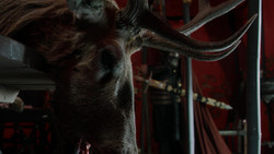 extant_GameOfThrones_1x07-YouWinOrYouDie_0027