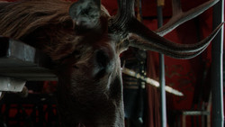extant_GameOfThrones_1x07-YouWinOrYouDie_0028