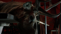 extant_GameOfThrones_1x07-YouWinOrYouDie_0029
