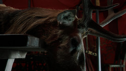 extant_GameOfThrones_1x07-YouWinOrYouDie_0030