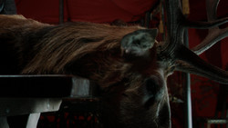extant_GameOfThrones_1x07-YouWinOrYouDie_0031