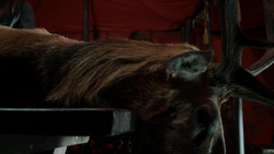 extant_GameOfThrones_1x07-YouWinOrYouDie_0032