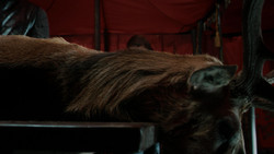 extant_GameOfThrones_1x07-YouWinOrYouDie_0033