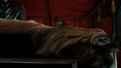 extant_GameOfThrones_1x07-YouWinOrYouDie_0034