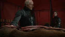 extant_GameOfThrones_1x07-YouWinOrYouDie_0259
