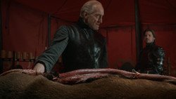 extant_GameOfThrones_1x07-YouWinOrYouDie_0268
