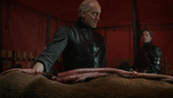 extant_GameOfThrones_1x07-YouWinOrYouDie_0269