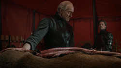 extant_GameOfThrones_1x07-YouWinOrYouDie_0270