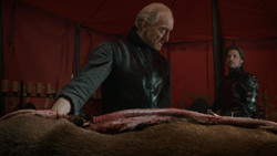 extant_GameOfThrones_1x07-YouWinOrYouDie_0271