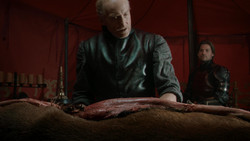 extant_GameOfThrones_1x07-YouWinOrYouDie_0309