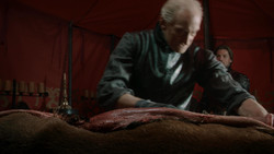 extant_GameOfThrones_1x07-YouWinOrYouDie_0310
