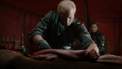 extant_GameOfThrones_1x07-YouWinOrYouDie_0319