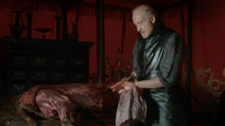 extant_GameOfThrones_1x07-YouWinOrYouDie_0379