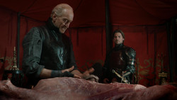 extant_GameOfThrones_1x07-YouWinOrYouDie_0391