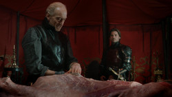 extant_GameOfThrones_1x07-YouWinOrYouDie_0392