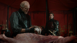 extant_GameOfThrones_1x07-YouWinOrYouDie_0393