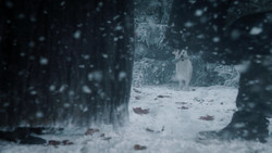 extant_GameOfThrones_1x07-YouWinOrYouDie_5024