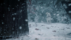 extant_GameOfThrones_1x07-YouWinOrYouDie_5025