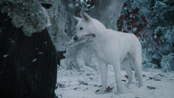 extant_GameOfThrones_1x07-YouWinOrYouDie_5039