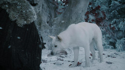 extant_GameOfThrones_1x07-YouWinOrYouDie_5040
