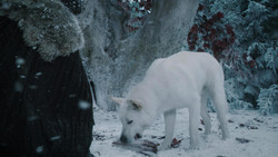 extant_GameOfThrones_1x07-YouWinOrYouDie_5041