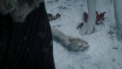 extant_GameOfThrones_1x07-YouWinOrYouDie_5047