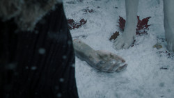 extant_GameOfThrones_1x07-YouWinOrYouDie_5048