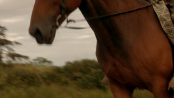 extant_GameOfThrones_1x07-YouWinOrYouDie_5453