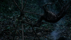 extant_GameOfThrones_1x08-ThePointyEnd_1955