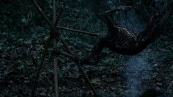 extant_GameOfThrones_1x08-ThePointyEnd_1956