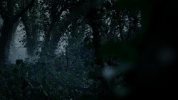 extant_GameOfThrones_1x08-ThePointyEnd_1989