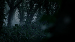 extant_GameOfThrones_1x08-ThePointyEnd_1991