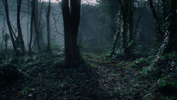extant_GameOfThrones_1x08-ThePointyEnd_2005
