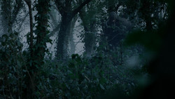 extant_GameOfThrones_1x08-ThePointyEnd_2018