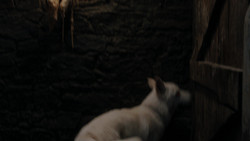 extant_GameOfThrones_1x08-ThePointyEnd_2398