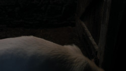 extant_GameOfThrones_1x08-ThePointyEnd_2401