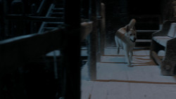 extant_GameOfThrones_1x08-ThePointyEnd_2468