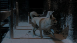 extant_GameOfThrones_1x08-ThePointyEnd_2469