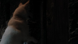 extant_GameOfThrones_1x08-ThePointyEnd_2477