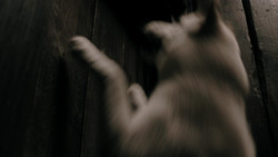 extant_GameOfThrones_1x08-ThePointyEnd_2623