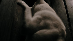 extant_GameOfThrones_1x08-ThePointyEnd_2625