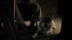 extant_GameOfThrones_1x08-ThePointyEnd_3411