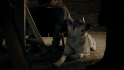 extant_GameOfThrones_1x08-ThePointyEnd_3412